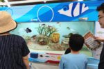 移動水族館 Wing-garden夏まつり@遊座大山