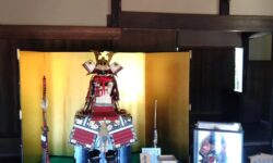 端午の節句